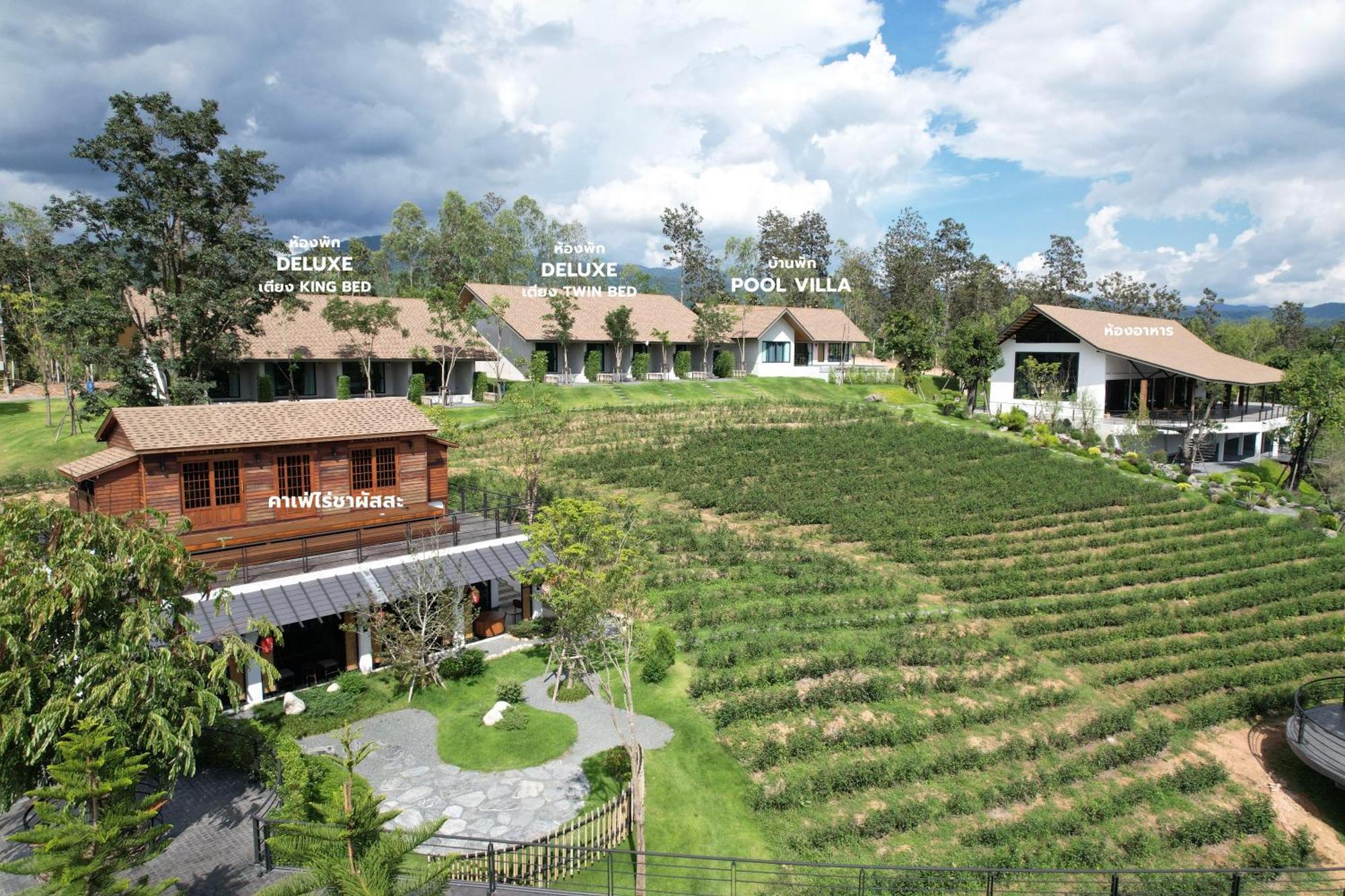 Passa ผัสสะ Tea Plantation @Mae On Hotel Ban Huai Kaeo Exterior photo
